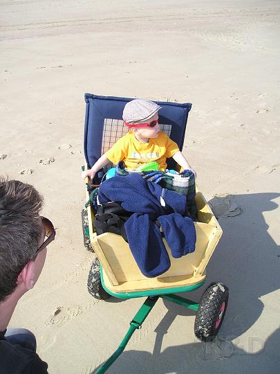 Imme 3 mei 2008 (4).JPG